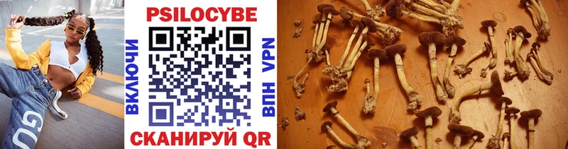Галлюциногенные грибы Magic Shrooms  где найти наркотики  MEGA онион  Сольвычегодск 