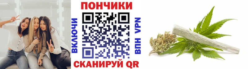 Бошки марихуана сатива  Сольвычегодск 